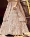 Picture of Statuesque Peach Lehenga Choli