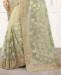 Picture of Comely Pista Net Saree