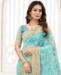 Picture of Nice Sky Net Saree