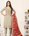 Picture of Alluring Grey Cotton Salwar Kameez