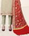 Picture of Alluring Grey Cotton Salwar Kameez