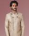 Picture of Beauteous Baige Sherwani