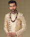 Picture of Marvelous Gold Sherwani