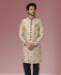 Picture of Sightly Gold/Blue Sherwani