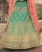 Picture of Elegant Green Lehenga Choli