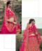 Picture of Appealing Pink Lehenga Choli