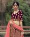 Picture of Beautiful Wine Lehenga Choli