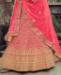 Picture of Appealing Pink Lehenga Choli