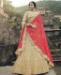 Picture of Ideal Beige Lehenga Choli