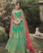 Picture of Fascinating Green Lehenga Choli