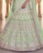 Picture of Sightly Pista Lehenga Choli