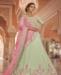 Picture of Alluring Pista Lehenga Choli