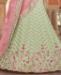 Picture of Alluring Pista Lehenga Choli