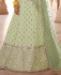 Picture of Classy Pista Lehenga Choli