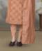 Picture of Amazing Fawn Straight Cut Salwar Kameez