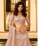 Picture of Comely Baby Pink Lehenga Choli