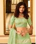 Picture of Splendid Green Lehenga Choli