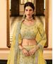 Picture of Magnificent Yellow Lehenga Choli