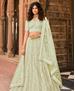 Picture of Excellent Pista Lehenga Choli