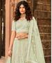 Picture of Excellent Pista Lehenga Choli