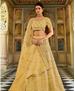 Picture of Sublime Yellow Lehenga Choli