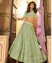 Picture of Ravishing Pista Lehenga Choli