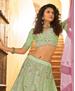 Picture of Ravishing Pista Lehenga Choli