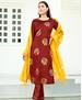 Picture of Elegant Brown Readymade Salwar Kameez