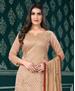 Picture of Comely Fawn Straight Cut Salwar Kameez