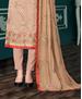 Picture of Comely Fawn Straight Cut Salwar Kameez