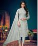 Picture of Stunning Grey Straight Cut Salwar Kameez