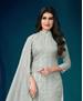 Picture of Stunning Grey Straight Cut Salwar Kameez