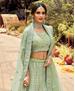 Picture of Alluring Pista Lehenga Choli