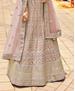 Picture of Marvelous Fawn Lehenga Choli