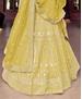 Picture of Beauteous Ocher Lehenga Choli