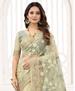 Picture of Comely Pista Net Saree