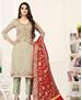 Picture of Alluring Grey Cotton Salwar Kameez