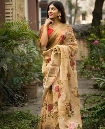 Picture of Bewitching Multi Casual Saree