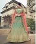 Picture of Elegant Green Lehenga Choli