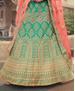 Picture of Elegant Green Lehenga Choli