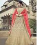 Picture of Good Looking Beige Lehenga Choli