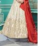 Picture of Charming Off-White Lehenga Choli