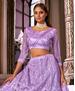 Picture of Elegant Purple Lehenga Choli