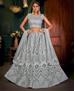 Picture of Radiant Gray Lehenga Choli