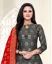 Picture of Taking Grey Patiala Salwar Kameez