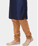 Picture of Pleasing Navy Blue Kurtas