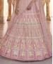 Picture of Good Looking Peach Lehenga Choli