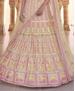 Picture of Magnificent Yellow Lehenga Choli