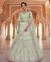 Picture of Sightly Pista Lehenga Choli