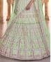 Picture of Sightly Pista Lehenga Choli